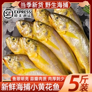 小黄花鲜冻小黄鱼新鲜黄花鱼冷冻海捕鲜冻黄花鱼海鲜水产小黄花