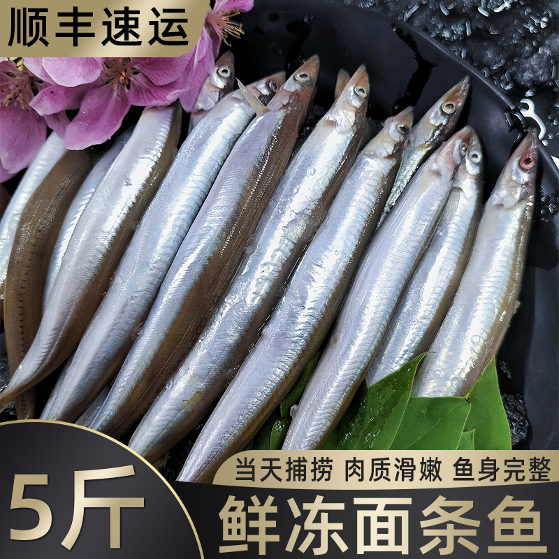 新鲜面条鱼鲜活冷冻海鱼海鲜沙丁鱼小银鱼小青鱼玉筋鱼泥鳅鱼