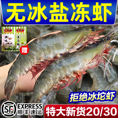 大虾鲜活速冻无冰净重新鲜盐冻海虾对虾基围虾白虾海捕大虾整箱