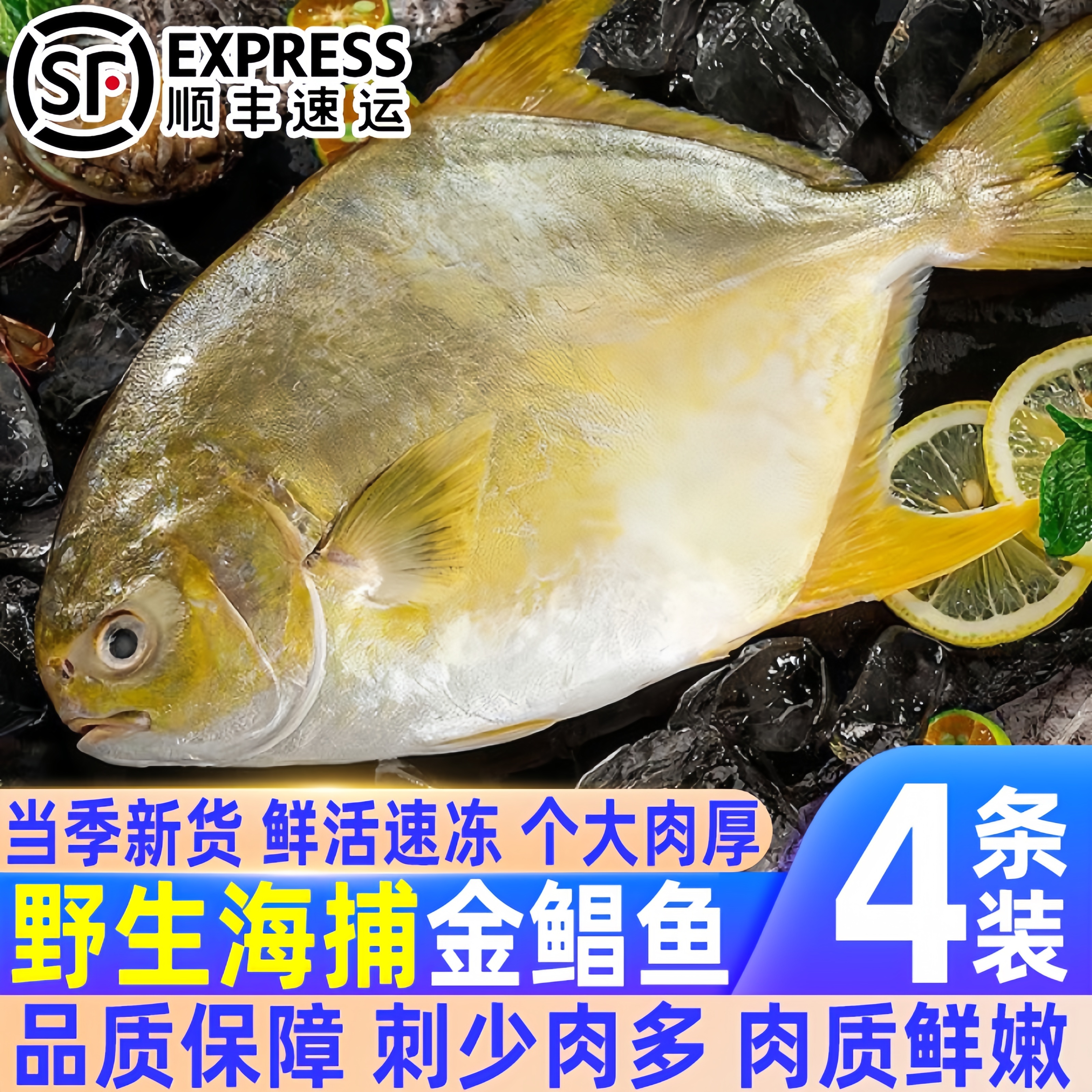 精选金鲳鱼大号冷冻海捕