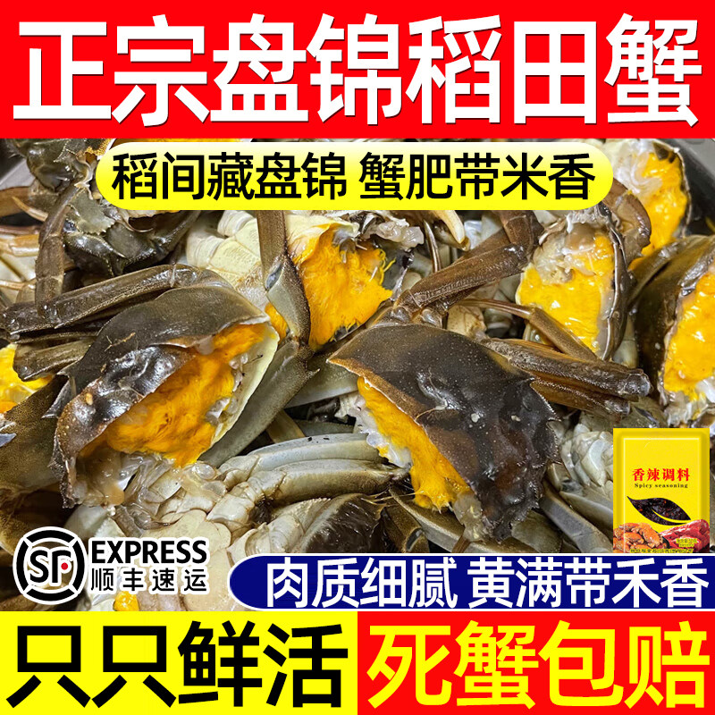 鲜活六月黄螃蟹精选稻田蟹当季新货大闸蟹正宗盘锦河蟹稻田蟹顺丰