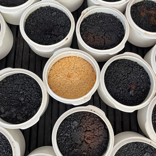 春归巢传统古法炮制玉灵膏柴火蒸制正品 官方旗舰店