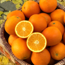 糗糗猫猫橙石门纽荷尔橙9斤 发邮政