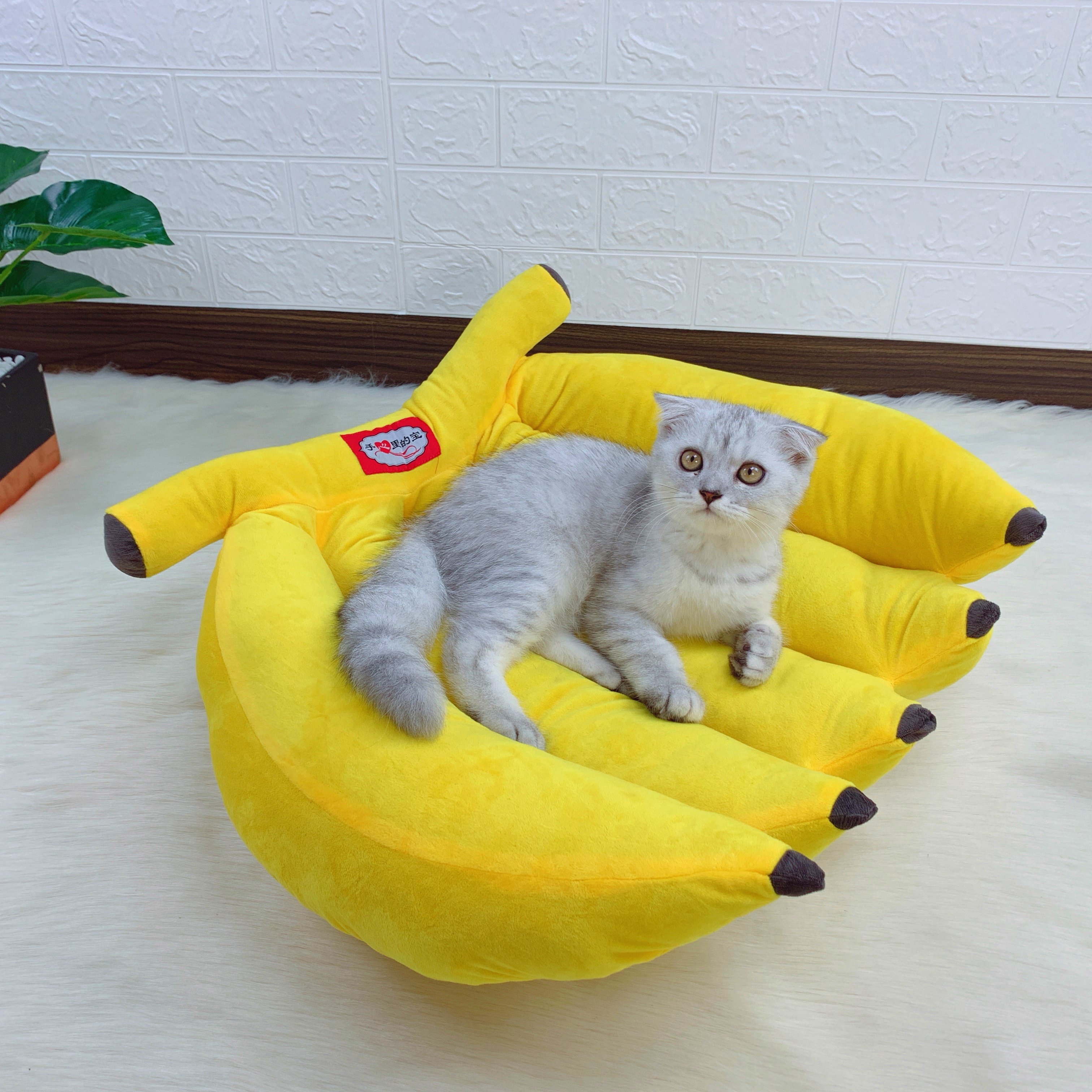 清仓捡漏香蕉宠物窝通用保暖猫窝50*48cm,宠物/宠物食品及用品,猫窝/屋/帐篷/沙发,淘宝优惠券,粉丝福利购,淘宝优惠卷