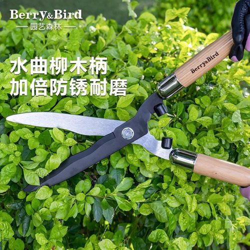 berrybird园艺绿篱剪草坪修剪