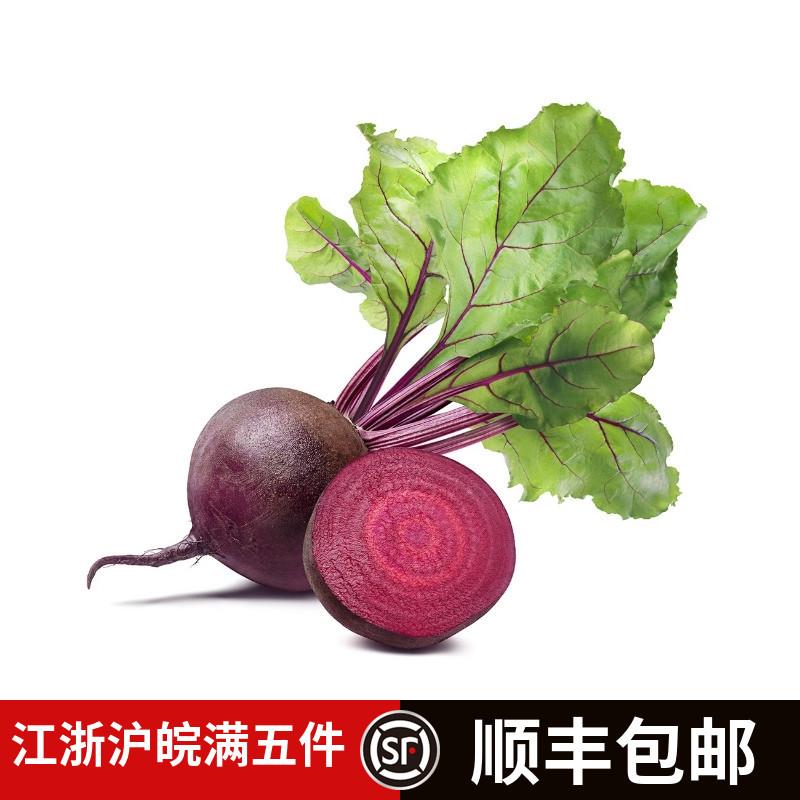 新鲜甜菜头红菜头Beetroot甜菜根火焰菜榨汁即食泡菜色拉紫菜头 水产肉类/新鲜蔬果/熟食 甜菜头 原图主图