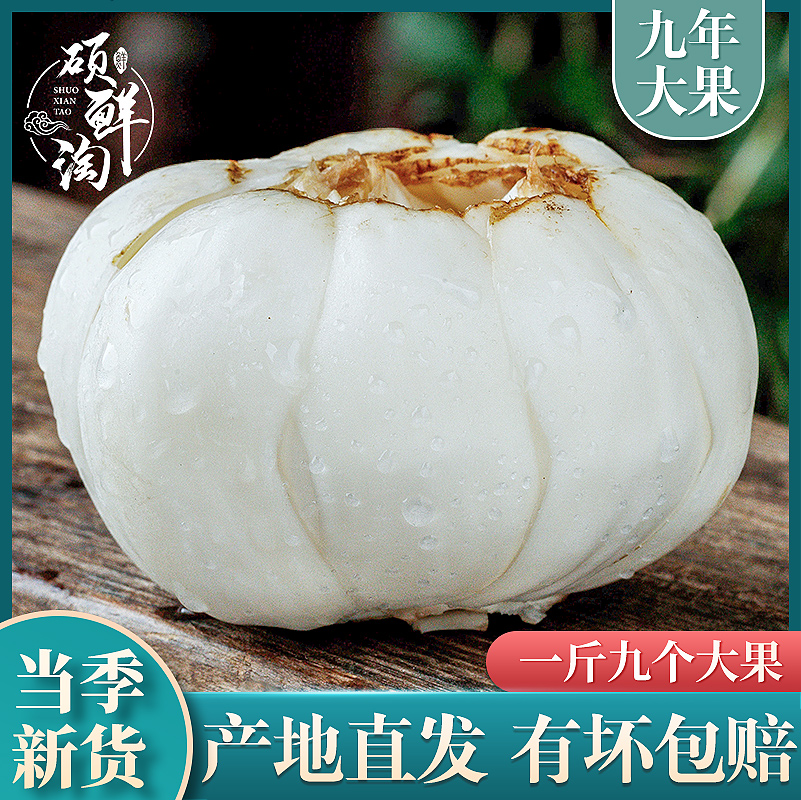 兰州新挖甜百合新鲜食用特级500g包邮无硫新鲜百合非干货1斤九个