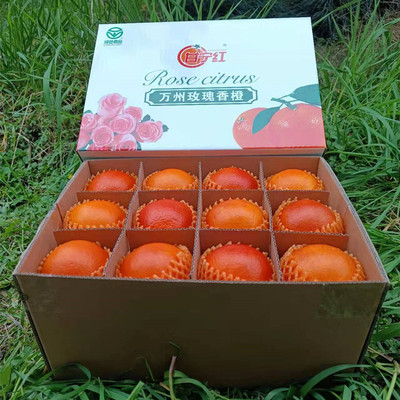 正宗万州玫瑰香橙血橙10斤礼盒