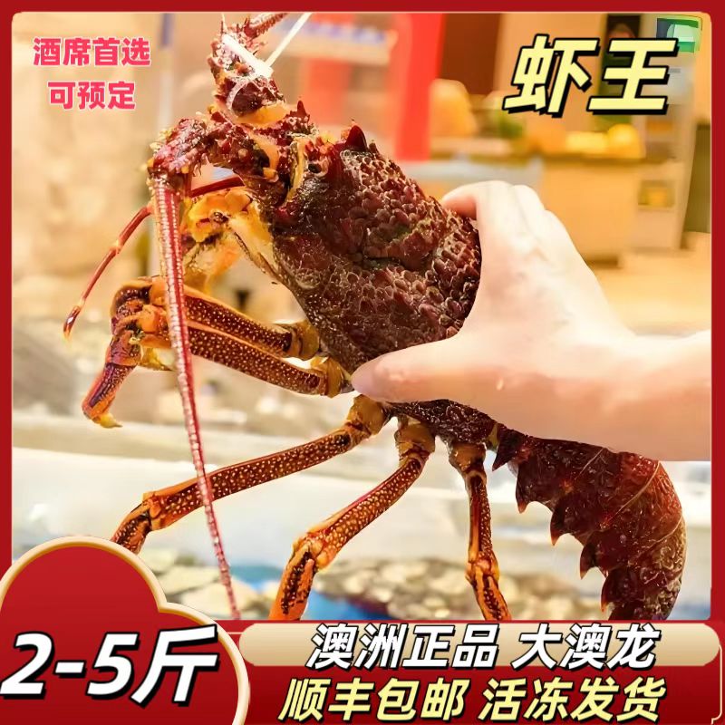澳洲紅澳龍 鮮活冷凍大龍蝦水產(chǎn)海鮮海捕大奧龍野生大蝦順豐包郵