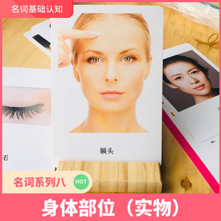 身体部位 孤独症 语言发育迟缓 儿童ABA康复训练认知卡 自闭症