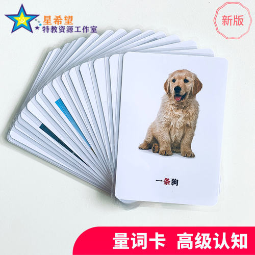 量词卡自闭症孤独症儿发育迟缓