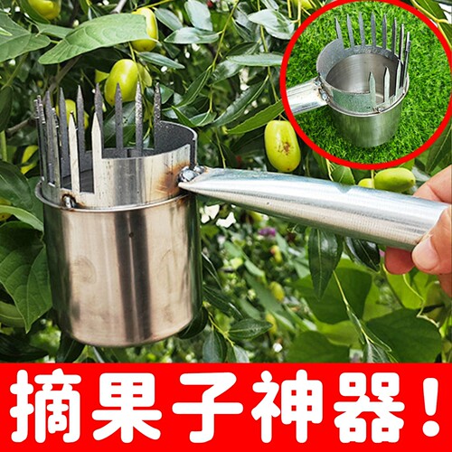 新型摘酸枣神器不锈钢采摘山枣神器摘果专用采野果摘酸枣采摘工具