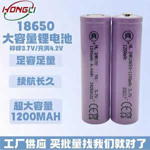 唱戏机小风扇充电宝话筒用18650