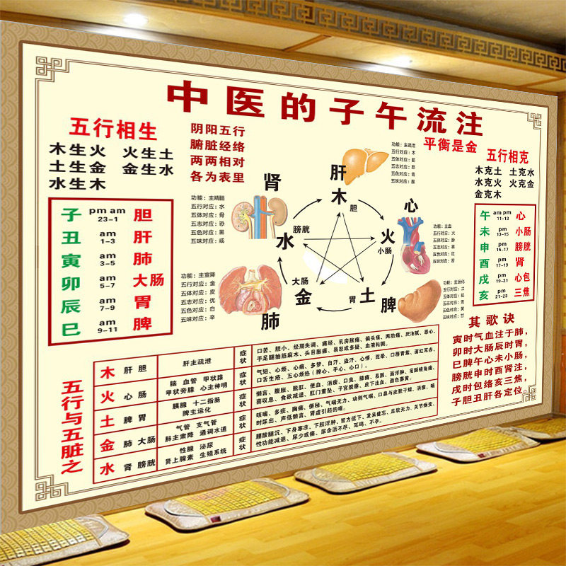 中医子午流注壁纸五行阴阳知识背景墙纸中医养生馆背景墙装饰画