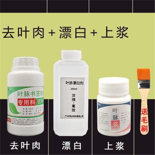 叶脉上浆用叶脉浆去叶肉书签制作液DIY材料树叶制作学生实厂家