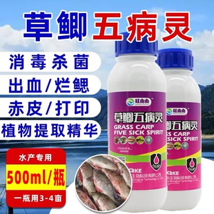 草鱼五病灵五病清鲢鲫草鱼鳗桂花鱼出血病烂鳃赤皮烂尾特效鱼药