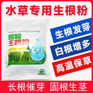吲哚生根粉水产用虾蟹塘水草爆根壮根防烂根发黄救草伊乐藻肥苦草