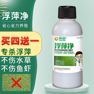 浮萍净水产养殖不伤鱼虾蟹水塘除浮萍克星剂杀除剂灭浮萍药分解酶