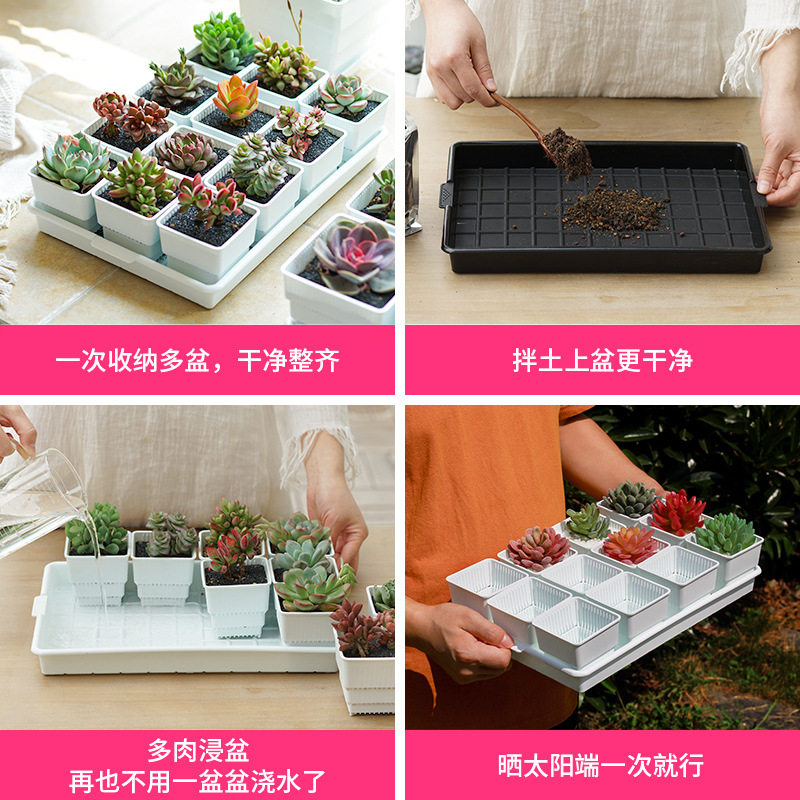 美莳托盘控根花盆多肉塑