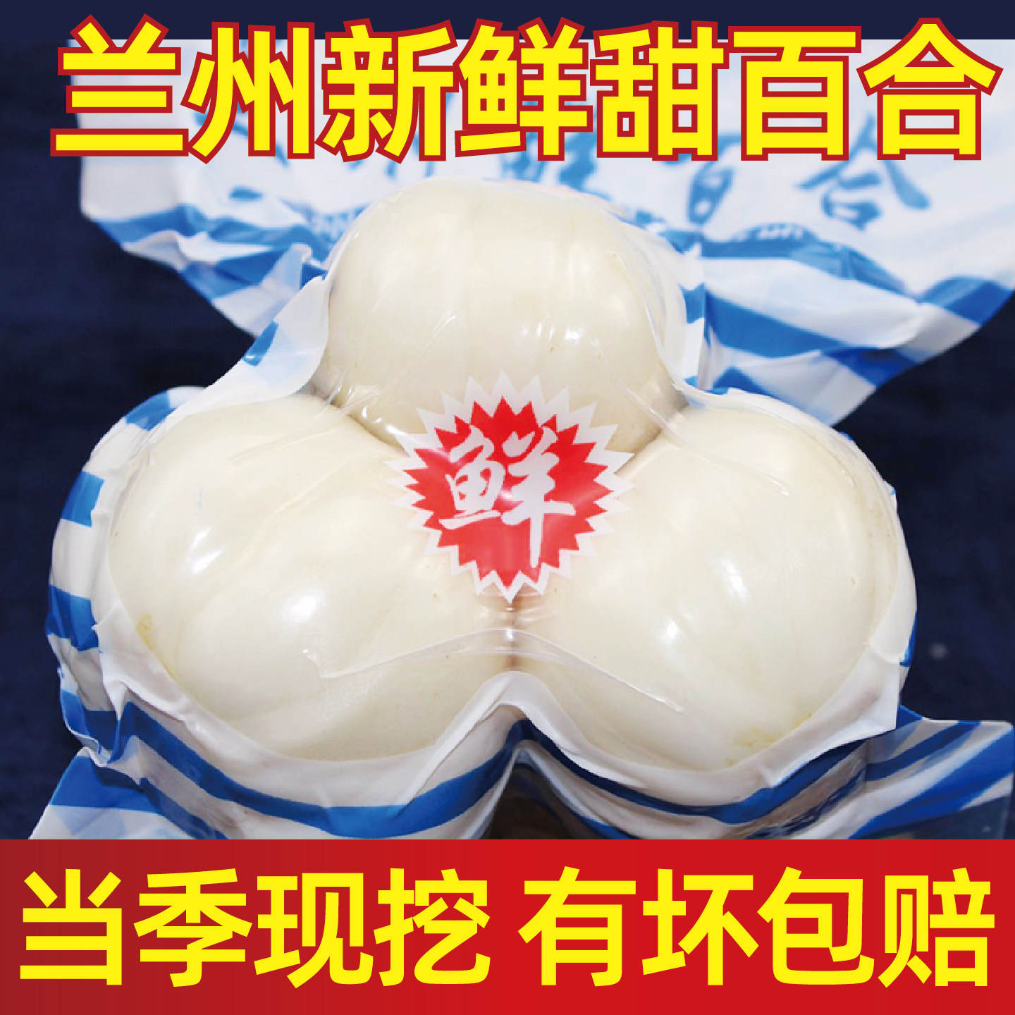 兰州鲜甜百合500g纯百合新鲜食用白合甘肃特产天然非干货特级包邮