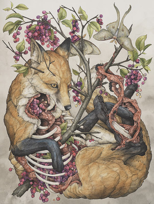 K718【美国】劳伦·麦克斯（Lauren Marx）怪诞动物插画网传图库