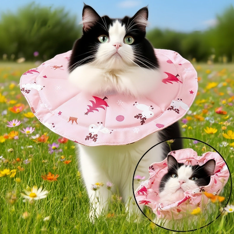 伊丽莎白圈可调节猫咪脖