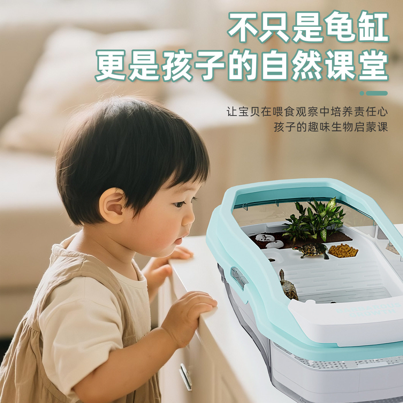 直销乌龟饲养缸巴西龟鳄