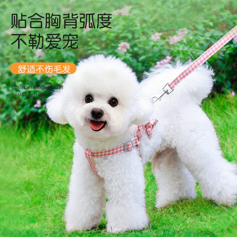 遛狗绳小型犬夏天专用胸