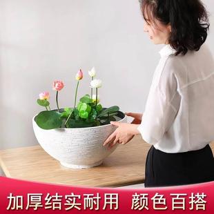 高档碗莲大号W仿特厚Y水荷花钱睡莲塑料花盆铜院R专用加庭石草培