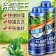 疯狂水草石头鱼缸除藻剂去绿水去苔剂青苔褐藻绿藻黑毛藻不伤鱼