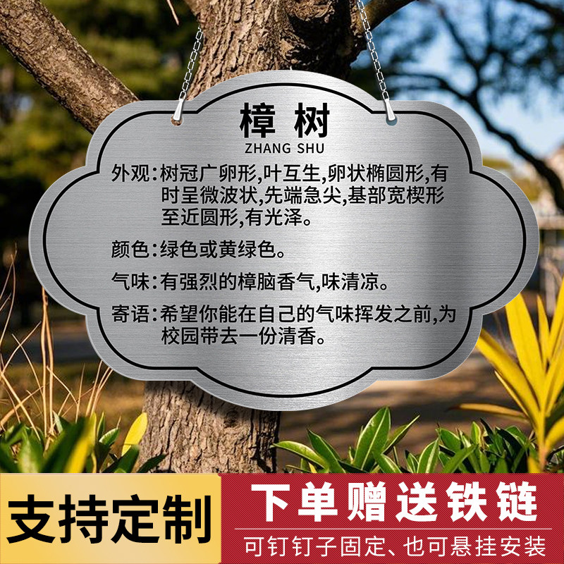 不锈钢树牌挂牌定制植物绿植吊牌树木标识介绍牌树名牌铭牌花草牌小区
