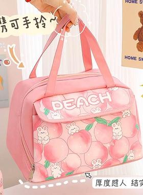 Insulated bag, portable, large capacity, waterproof and oil