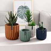 cement simple flower ceramic Nordic fashion pot frosted lite