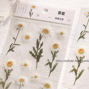 PET Stickers Flowers Leaves Plants Sticker for SG47765crapbo
