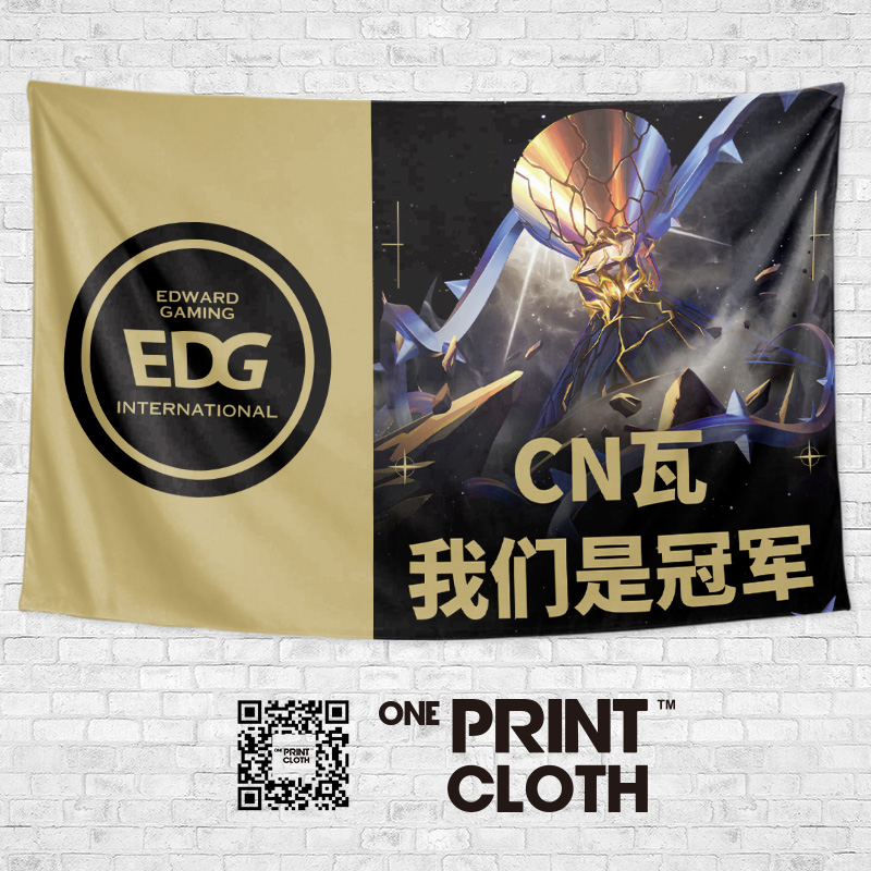 挂布无畏契约EDG战队CN瓦冠军