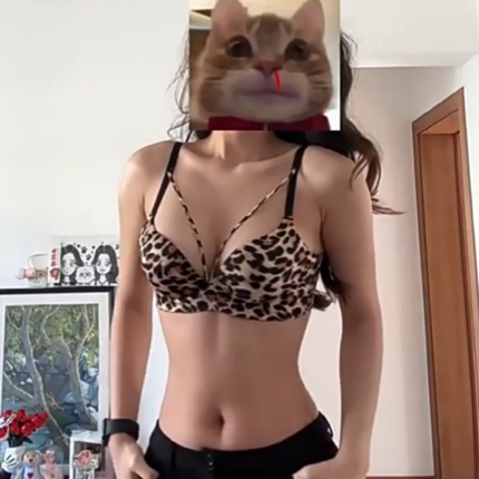 性感禁欲系纯欲豹纹小胸聚拢内衣女不空杯收副乳防下垂显大文胸罩