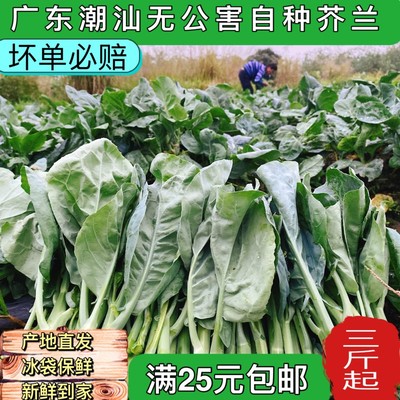 潮汕新鲜蔬菜大芥蓝菜小芥兰农家种花芥蓝蔬菜食用现摘现发包邮