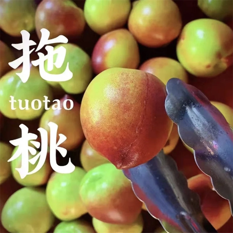 潮汕腌制脆甜拖桃青芒新鲜梅汁水果当季甘草水果卤脆桃现做水果