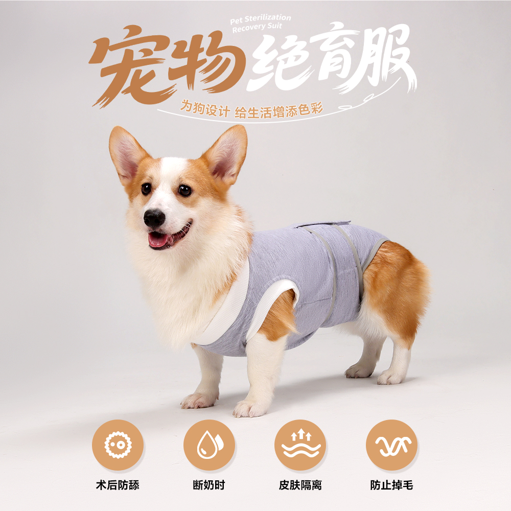 宠物柴犬柯基公母狗狗绝育服断奶防掉毛防舔四脚衣服手术后服薄款