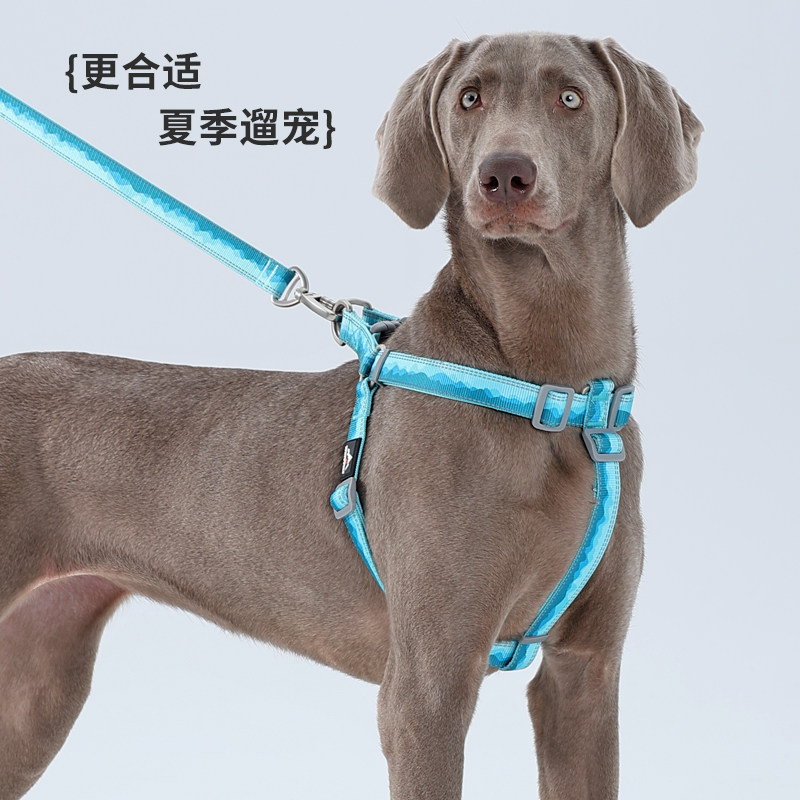 狗狗胸背带夏天轻薄透气Y字形胸背中大型犬可调节拉布拉多牵引绳图片