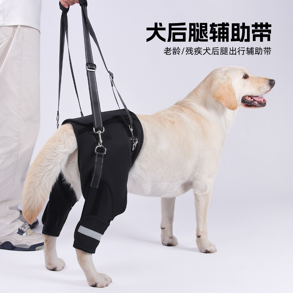 狗狗后腿辅助器老年狗辅助行走狗狗四肢无力助理器术后狗狗康复带