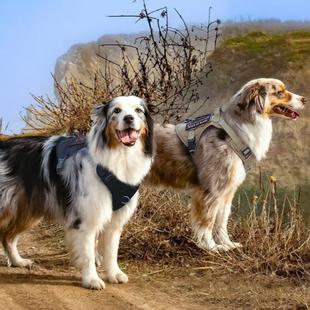 狗狗胸背带外出战术背心防爆冲夏季胸背边牧金毛中大型犬狗牵引绳