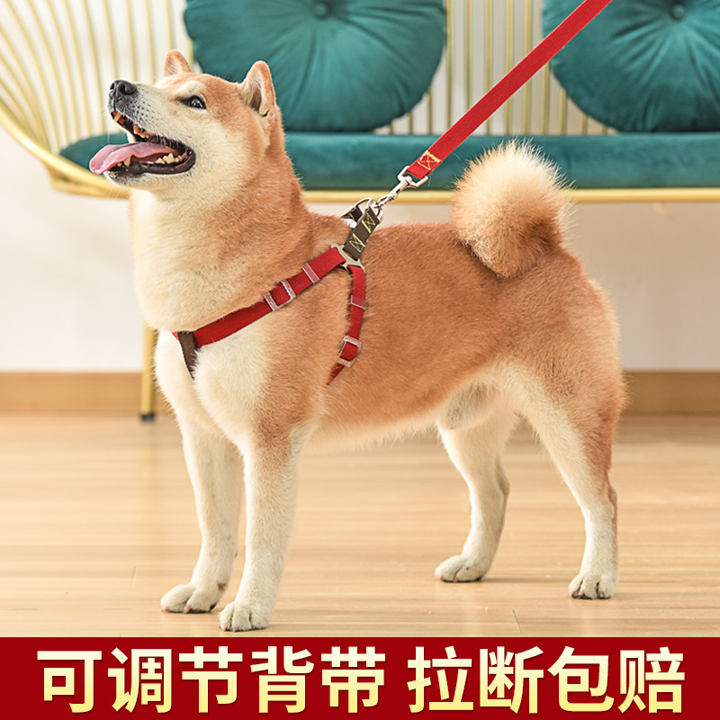 背心式狗狗牵引绳胸背带柴犬柯基中大型犬防挣脱遛狗绳多功能狗链-封面