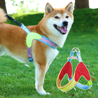 狗狗胸背帶Y型胸背夏天透氣輕薄不勒遛狗繩柴犬中型犬狗狗牽引繩
