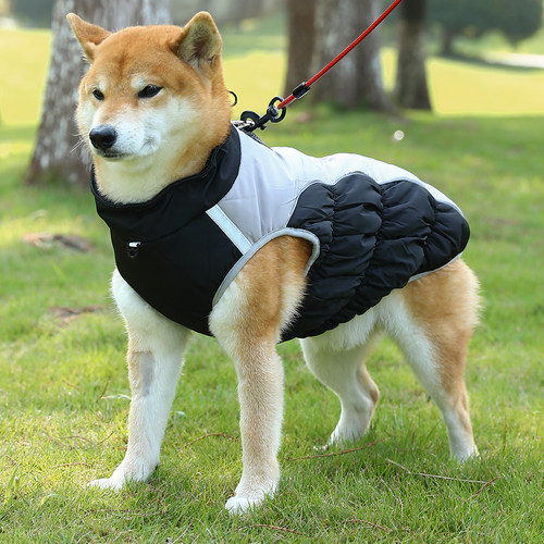 莘语果旗舰店狗狗丝绵衣服可收缩