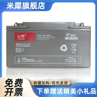 铅酸免维护UPS专用铅酸蓄电池 蓄电池C12 蓄电池12V65AH