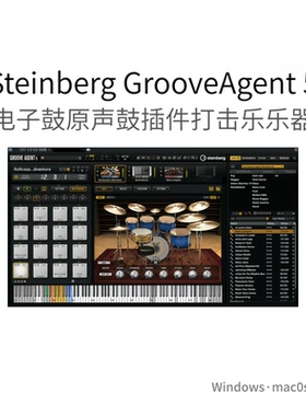 Steinberg GrooveAgent 5 斯坦伯格 打击乐 鼓合成器 插件Win/Mac