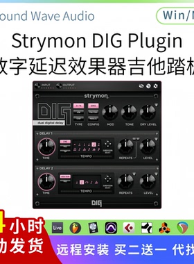 Strymon DIG Plugin 数字延迟插件 吉他踏板效果器 Win/Mac