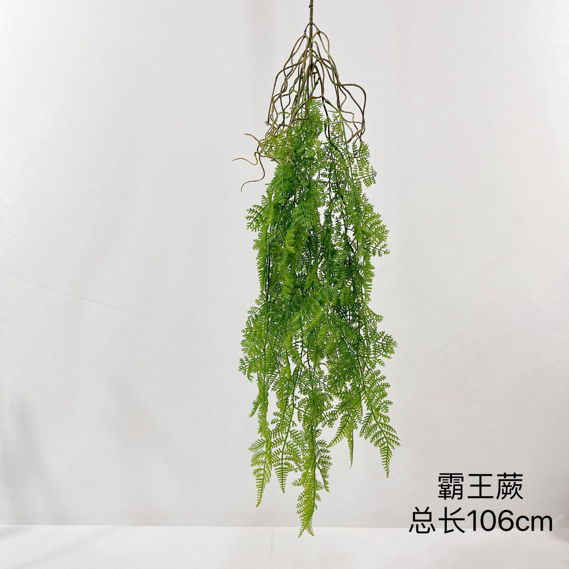 仿真绿植 垂吊绿植 壁挂 波斯草 空气草 垂挂蕨叶 墙工程植物