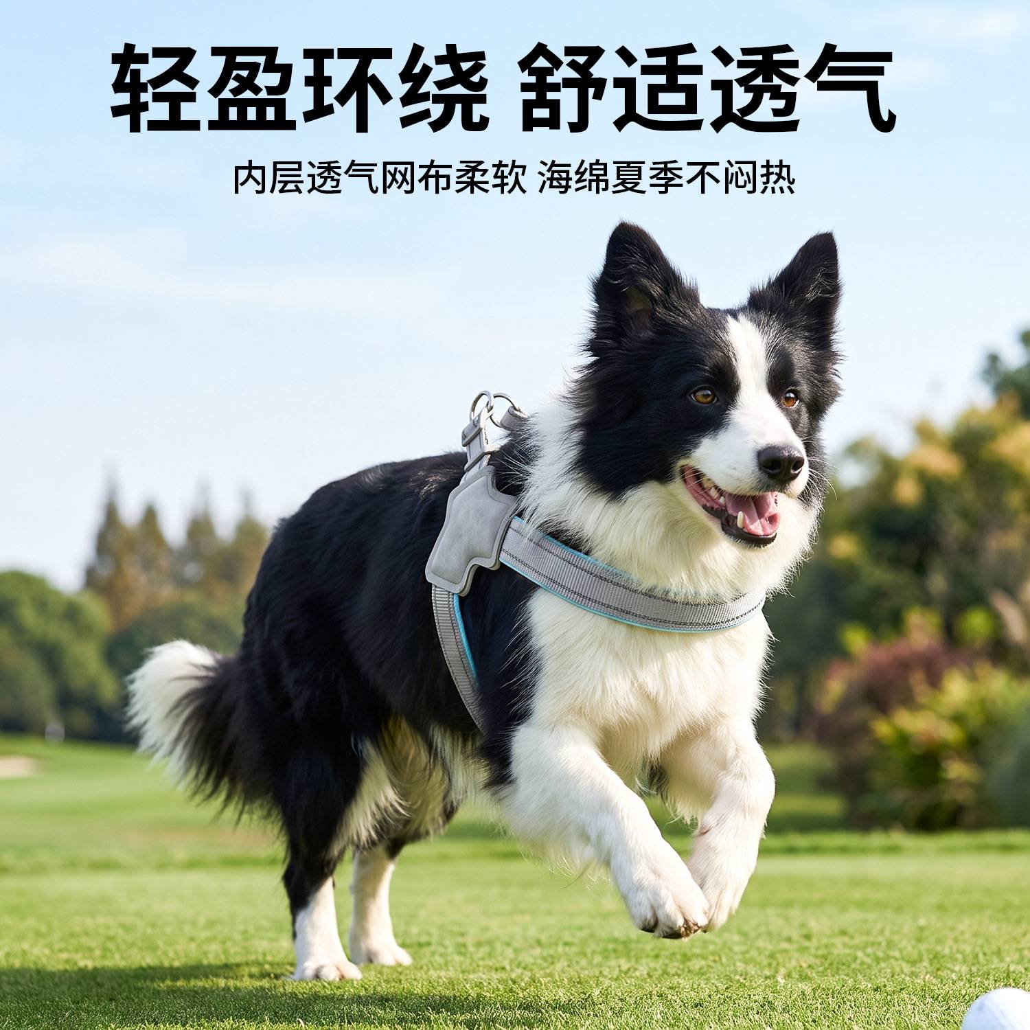 狗狗牵引绳宠物胸背带皮皮淘防爆冲宠物Y型胸背带宠物用品